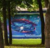 Мозырская галактика